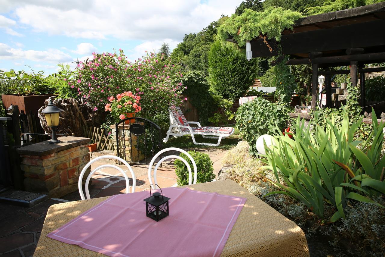 Pension Weinberg Mit Landhaus Nizza Gleisweiler Exterior foto